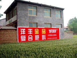 子长如何让墙体广告展现最大化效果