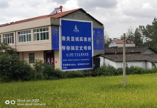 子长决定墙体广告价格的因素有哪些？