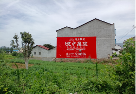 子长做墙体广告的意义