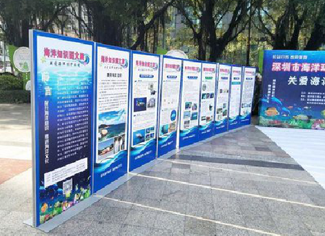 子长KT板的种类和知识。